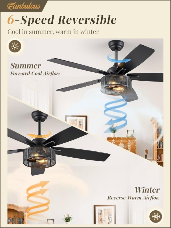 Farmhouse Ceiling Fans with Lights and Remote, 52 Inch Industrial Black Caged Ceiling Fans for Living Room Bedroom Kitchen, 6 Speed Reversible Quiet DC Motor, Dual Finish 5 Blades