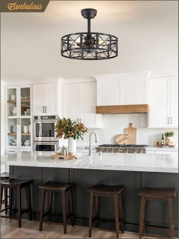 20 Inch Fandelier Caged Ceiling Fans with Lights and Remote, Farmhouse Rustic Ceiling Fan, Black