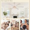 65 Inch Ceiling Fan with Lights, Farmhouse Caged Ceiling Fans with Remote, White Industrial Ceiling Fans with Quiet Reversible DC Motor, Large Ceiling Fan for Living room, Bedroom