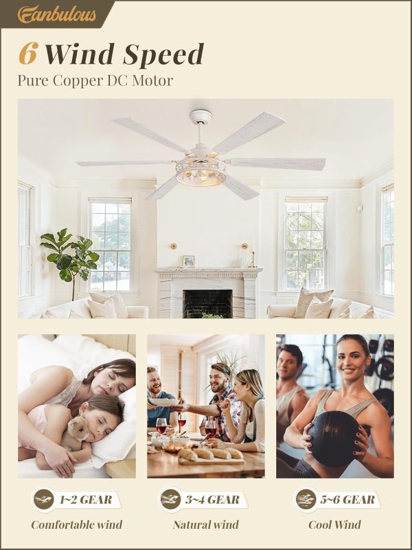65 Inch Ceiling Fan with Lights, Farmhouse Caged Ceiling Fans with Remote, White Industrial Ceiling Fans with Quiet Reversible DC Motor, Large Ceiling Fan for Living room, Bedroom