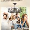 23 Inch Fandelier Caged Ceiling Fans with Lights and Remote, Black Bladeless Ceiling Fan with 6 Speeds and Timing, Farmhouse Samll Fan Lights Ceiling Fixtures for Kitchen, Bedroom-Black