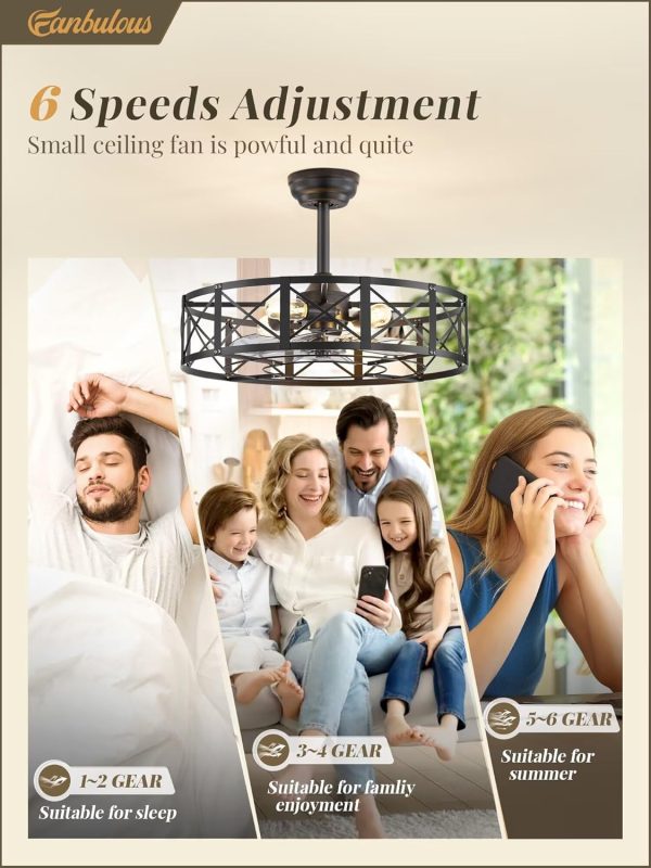 23 Inch Fandelier Caged Ceiling Fans with Lights and Remote, Black Bladeless Ceiling Fan with 6 Speeds and Timing, Farmhouse Samll Fan Lights Ceiling Fixtures for Kitchen, Bedroom-Black