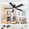 46 inch Ceiling Fans with Lights, Flush Mount Ceiling Fan and Remote, Modern Low Profile, 3CCT 20W LED Light with 6-Speeds Quiet Reversible Motor, for Bedroom, Living Room, Apartment, Black