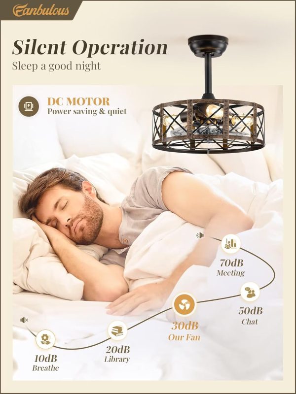 16in Caged Ceiling Fans with Lights and Remote, Black Fandelier Ceiling Fan with 6 Speeds and Timing, Farmhouse Samll Fan Lights Ceiling Fixtures For Kitchen, Bedroom, Outdoor-Black and Gold