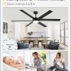 66 Inch Ceiling Fans with Lights and Remote, Reversible 6 Blades, Dimmable, 3000K-6000K Adjustable, Outdoor Ceiling Fans for Patios, Large Ceiling Fan for Indoor or Covered Outdoor, Black
