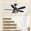 Farmhouse Ceiling Fans with Lights and Remote, 42 Inch Industrial Black Caged Ceiling Fans for Living Room Bedroom Kitchen, 6 Speed Reversible Quiet DC Motor, Dual Finish 5 Blades