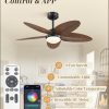 Tropical Ceiling Fans with Lights and Remote/APP Control, 42 Inch Palm Leaf Ceiling Fan with RGB Dimmable Light, Noiseless Modern Ceiling Fan for Bedroom, Indoor/Outdoor Patio Use