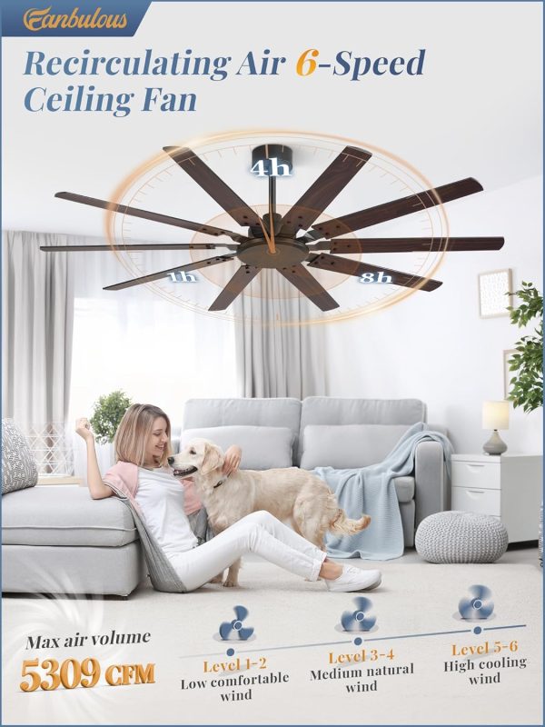 65 Inch Large Ceiling Fan Without Light, Modern Indoor/Outdoor Ceiling Fans No Light with Remote,6-Speed Reversible Quiet DC Motor, 10 Blade for Bedroom,Living Room,Patio,Garage(Black)