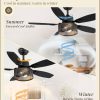 Farmhouse Ceiling Fans with Lights and Remote, 42 Inch Industrial Black Caged Ceiling Fans for Living Room Bedroom Kitchen, 6 Speed Reversible Quiet DC Motor, Dual Finish 5 Blades