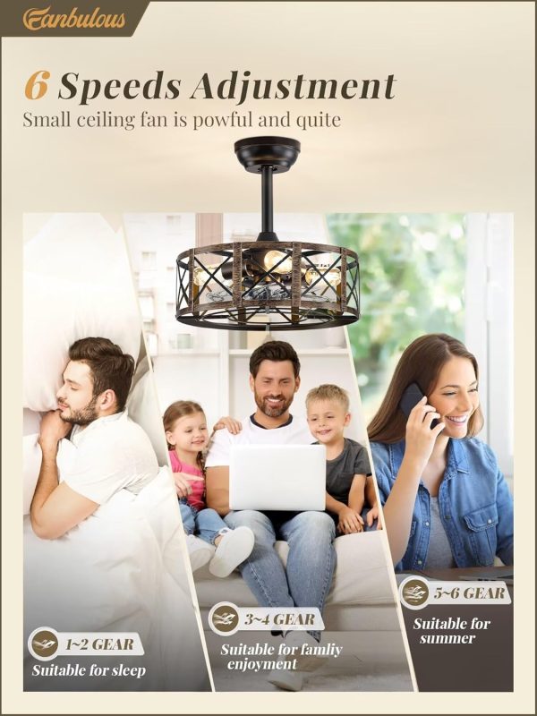 16in Caged Ceiling Fans with Lights and Remote, Black Fandelier Ceiling Fan with 6 Speeds and Timing, Farmhouse Samll Fan Lights Ceiling Fixtures For Kitchen, Bedroom, Outdoor-Black and Gold