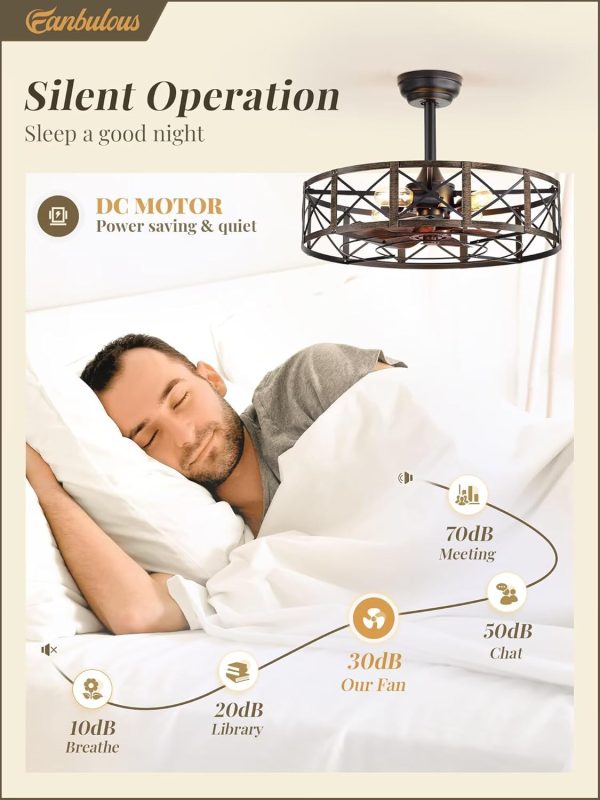 23 Inch Fandelier Caged Ceiling Fans with Lights and Remote, Black Farmhouse Ceiling Fan, Bladeless Samll Fan Lights Ceiling Fixtures for Kitchen, Bedroom-Black and Gold