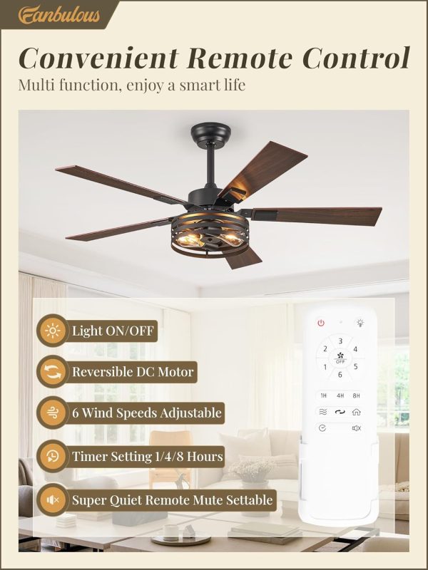 Farmhouse Caged Ceiling Fans with Lights and Remote, 48 Inch Black Bedroom Ceiling Fans for Living Room Kitchen6 Speed Reversible Quiet DC Motor, Dual Finish 5 Blades