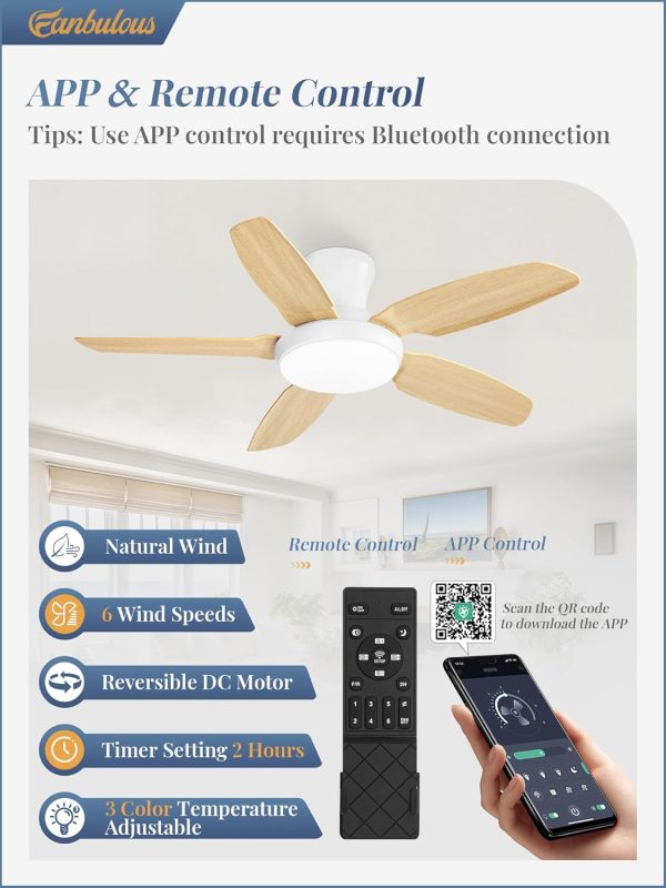Ceiling Fans with Lights, 42 inch Low Profile Flush Mount Ceiling Fan with Remote/APP Control,Black Modern Ceiling Fan with LED Light for Bedroom Indoor Outdoor-LED Dimmable, 3CCT, 6 Speeds