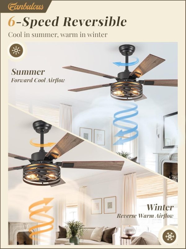 Farmhouse Caged Ceiling Fans with Lights and Remote, 48 Inch Black Bedroom Ceiling Fans for Living Room Kitchen6 Speed Reversible Quiet DC Motor, Dual Finish 5 Blades