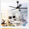 42 Inch Ceiling Fan with Light and Remote, Black Ceiling Fans with Light, 5 Dual-Color Blades, Reversible Quiet DC Motor, 6 Speeds, 3CCT Adjustable LED for Bedroom Living Room Kitchen Patio