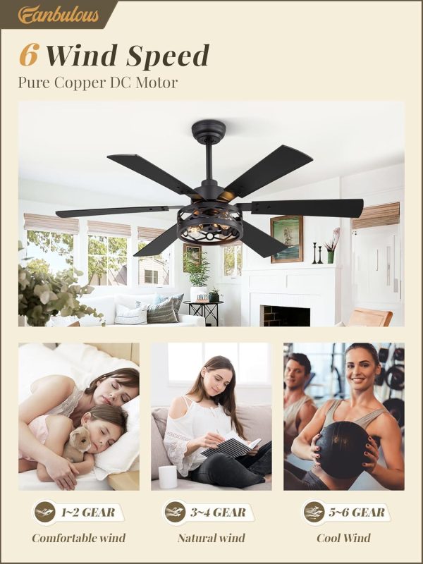 50 Inch Ceiling Fan with Lights, Farmhouse Caged Ceiling Fans with Remote, Black Industrial Ceiling Fans with Quiet Reversible DC Motor, Small Ceiling Fan for Living room, Bedroom