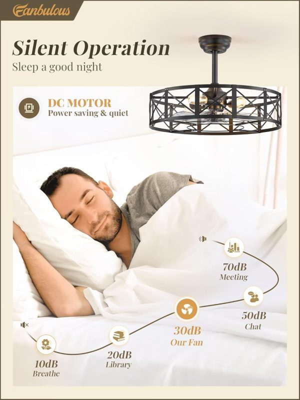 23 Inch Fandelier Caged Ceiling Fans with Lights and Remote, Black Bladeless Ceiling Fan with 6 Speeds and Timing, Farmhouse Samll Fan Lights Ceiling Fixtures for Kitchen, Bedroom-Black