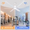 Ceiling Fan with Lights Remote Control, Large Ceiling Fan White, 6 Blades 6 Speeds 3 CCT Modern Ceiling Fans Light for Outdoor Indoor Patios Living Room Porch Garage Warehouse
