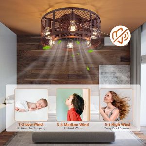 Cage 21 Inch Farmhouse Low Profile Ceiling Fan with Light Remote Control, Flush Mount Bladeless Ceiling Fan Lighting Fixture for Bedroom Living Room Kitchen Brown