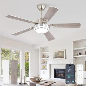 48 Inch Ceiling Fans with Lights and Remote, Brushed Nickel Ceiling Fan with 8 Dual-Color Blades, Indoor/Outdoor Large Ceiling Fans, Reversible DC Motor, 6-Speed, 3CCT for Living Porch Patio