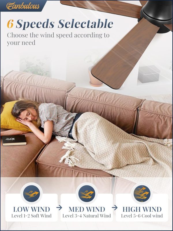 48 Inch Ceiling Fans with Lights and Remote,Outdoor Indoor Modern Flush Mount Ceiling Fan with 3CCT 6-Speed Quiet DC Motor,Black Small Low Profile Ceiling Fan for Bedroom Living Room Office(Black)