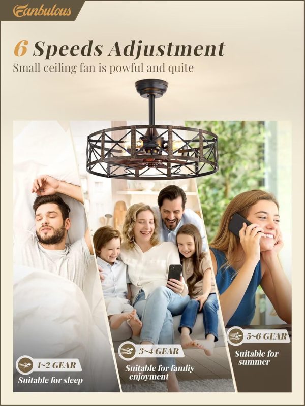 23 Inch Fandelier Caged Ceiling Fans with Lights and Remote, Black Farmhouse Ceiling Fan, Bladeless Samll Fan Lights Ceiling Fixtures for Kitchen, Bedroom-Black and Gold