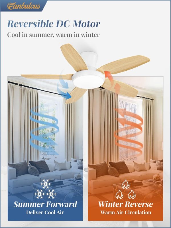 Ceiling Fans with Lights, 42 inch Low Profile Flush Mount Ceiling Fan with Remote/APP Control,Black Modern Ceiling Fan with LED Light for Bedroom Indoor Outdoor-LED Dimmable, 3CCT, 6 Speeds