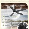 52 In Outdoor Ceiling Fan Hanging Fan Outdoor Ceiling Fans, Waterproof, with Light, Remote, 52 In, Wet Rated, IP65, 6 Speed, 3CCT, Plug in, for Patios, Porch, Gazebo, Black