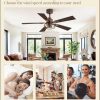 1 Pack Farmhouse 42 Inch Ceiling Fans with Lights, Industrial Caged Ceiling Fans for Bedroom Living Room, Double-Sided 5 Blades Rustic Ceiling Fan-Black Gold