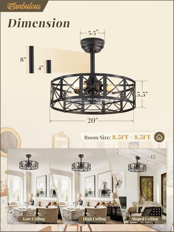 20 Inch Fandelier Caged Ceiling Fans with Lights and Remote, Farmhouse Rustic Ceiling Fan, Black