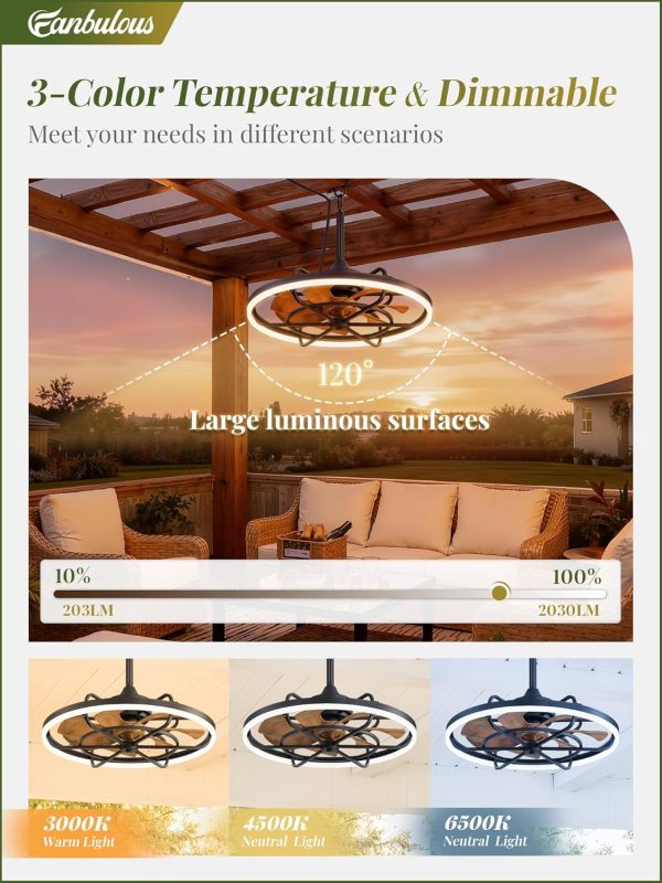 Outdoor Ceiling Fans with Light for Patios, 24" Weatherproof Plug in Ceiling Fan, Gazebo Fan Remote&APP Control, 3CCT Dimmable, Caged Ceiling Fan with Hanging Hook for Porch, Pergola, Canopy