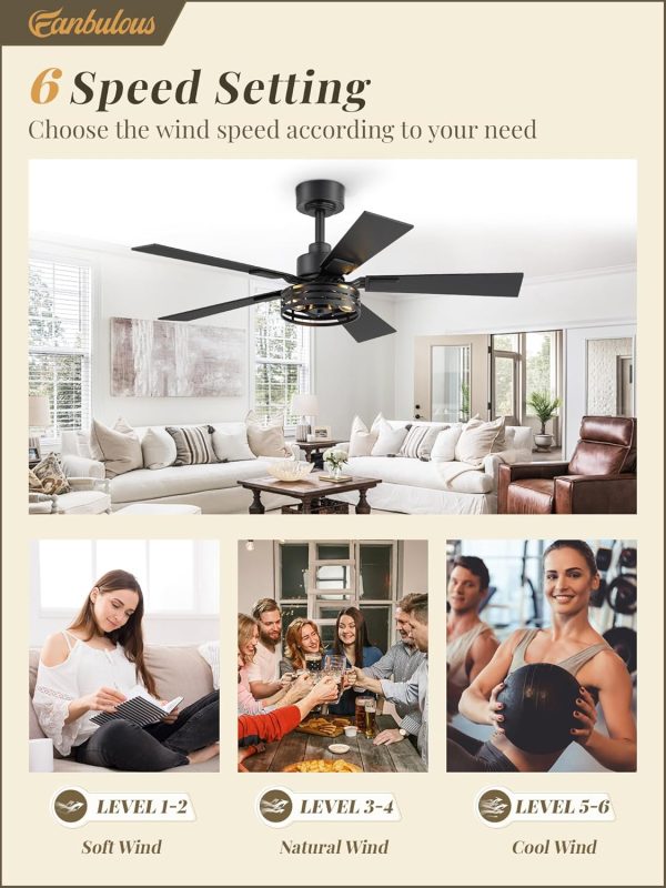 Farmhouse Caged Ceiling Fans with Lights and Remote, 42 Inch Black Bedroom Ceiling Fans for Living Room Kitchen6 Speed Reversible Quiet DC Motor, Dual Finish 5 Blades