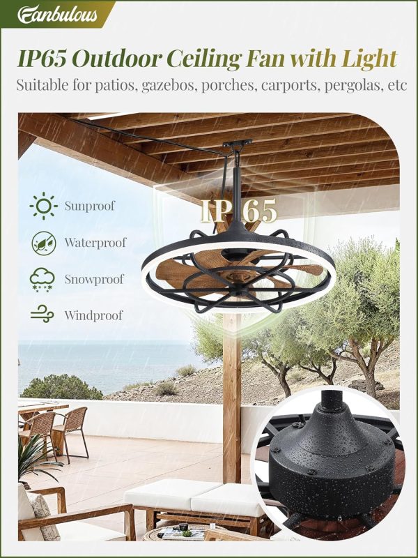 Outdoor Ceiling Fans with Light for Patios, 24" Weatherproof Plug in Ceiling Fan, Gazebo Fan Remote&APP Control, 3CCT Dimmable, Caged Ceiling Fan with Hanging Hook for Porch, Pergola, Canopy