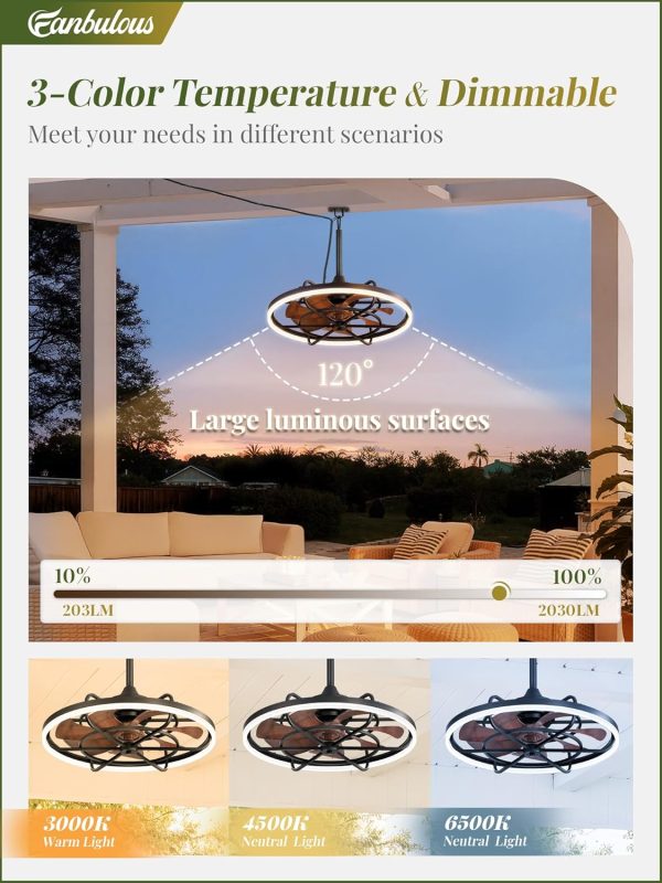 Outdoor Ceiling Fans with Light for Patios, 24" Weatherproof Plug in Ceiling Fan, Gazebo Fan Remote&APP Control, 3CCT Dimmable, Caged Ceiling Fan with Hanging Hook for Porch, Pergola, Canopy