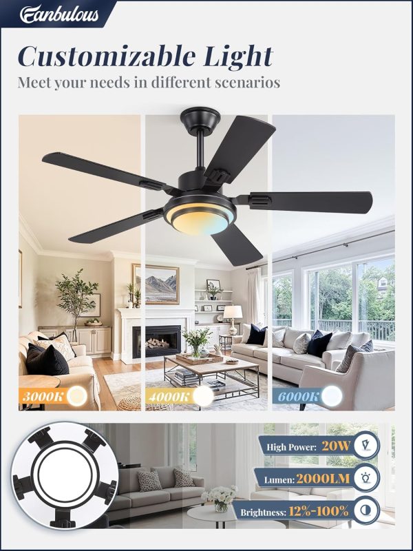48 Inch Ceiling Fans with Lights and Remote, Black Ceiling Fan with 8 Dual-Color Blades, Indoor/Outdoor Large Ceiling Fans, Reversible DC Motor, 6-Speed, 3CCT for Living Room Kitchen Patio