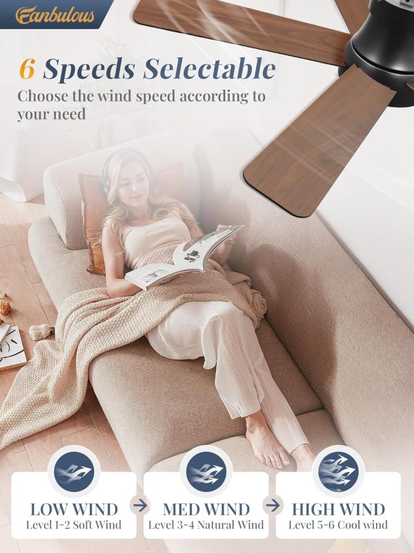 48 Inch Ceiling Fans with Lights and Remote,Indoor Modern Flush Mount Ceiling Fan with 3CCT 6-Speed Quiet DC Motor,Small Low Profile Ceiling Fan for Bedroom Living Room Office(Black RGB)