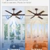 56 Inch Ceiling Fans with Lights and Remote, Reversible 6 Blades, Dimmable, 3000K-6000K Adjustable, Outdoor Ceiling Fans for Patios, Large Ceiling Fan for Indoor or Covered Outdoor-Brown