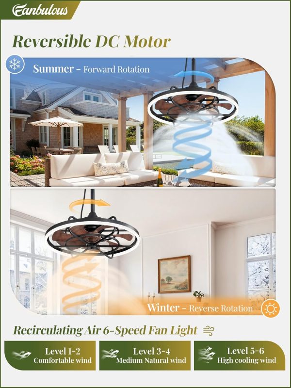 Outdoor Ceiling Fans with Light for Patios, 24" Weatherproof Plug in Ceiling Fan, Gazebo Fan Remote&APP Control, 3CCT Dimmable, Caged Ceiling Fan with Hanging Hook for Porch, Pergola, Canopy