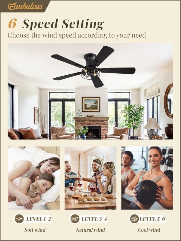 1 Pack Flush Mount 42 Inch Farmhouse Ceiling Fan with Light, Caged Ceiling Fans for Bedroom Living Room, Double-Sided 5 Blades Rustic Ceiling Fan-Black
