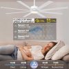 Large Ceiling Fan with Lights - Indoor/Outdoor Fan Remote & APP Control, Dimmable, DC Motor, Metal Ceiling Fan for Patio Living Room, White