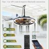 Outdoor Ceiling Fans with Light for Patios, 24" Weatherproof Plug in Ceiling Fan, Gazebo Fan Remote&APP Control, 3CCT Dimmable, Caged Ceiling Fan with Hanging Hook for Porch, Pergola, Canopy