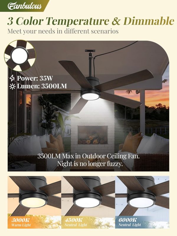 52 In Outdoor Ceiling Fan Hanging Fan Outdoor Ceiling Fans, Waterproof, with Light, Remote, 52 In, Wet Rated, IP65, 6 Speed, 3CCT, Plug in, for Patios, Porch, Gazebo, Black
