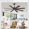 62 Inch Ceiling Fans No Light with Remote, Modern Ceiling Fan without Light, Dual Finish 8 Blades, Reversible DC Motor, 6 Speed, Large Ceiling Fan for Indoor or Covered Outdoor, Oil Bronze