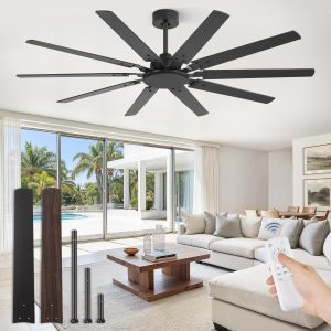 65 Inch Large Ceiling Fan Without Light, Modern Indoor/Outdoor Ceiling Fans No Light with Remote,6-Speed Reversible Quiet DC Motor, 10 Blade for Bedroom,Living Room,Patio,Garage(Black)