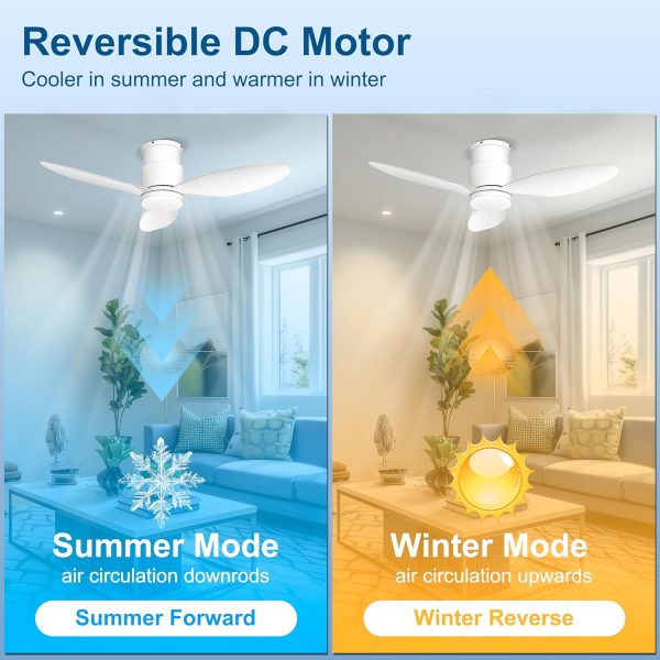 Flush Mount Ceiling Fans with Lights, Remote/App Control, Dimmable, Silent Indoor/Outdoor Ceiling Fan for Porch, Bedroom, Kitchen, White
