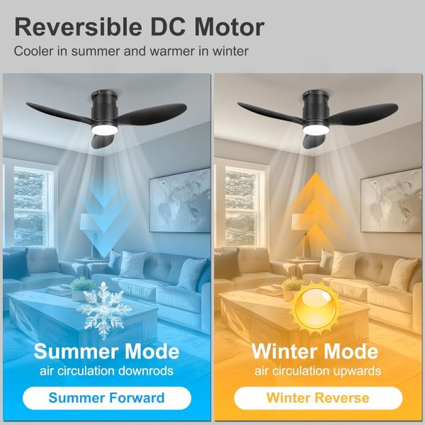 Flush Mount Ceiling Fans with Lights, Remote/App Control, Dimmable, Quiet Indoor/Outdoor Ceiling Fan for Covered Patio, Bedroom, Kitchen, Black