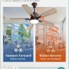 Outdoor Ceiling Fans with Light for Patios, IP65 Waterproof Gazebo Fan, Plug in Ceiling Fan with Remote, 3CCT 6-Speed Oil-Bronze Ceiling Fan with Hanging Hook for Porch, Pergola,Canopy