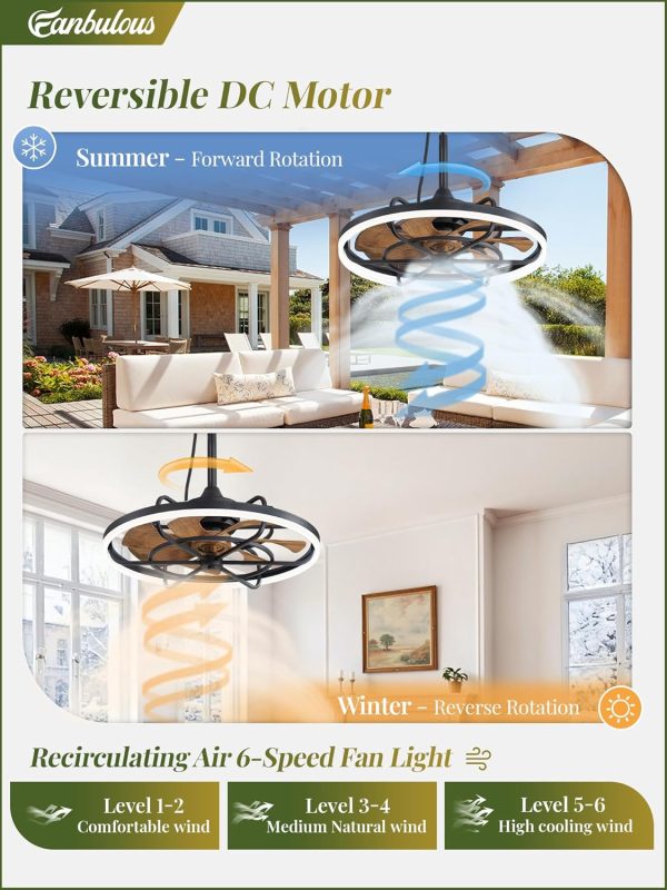 Outdoor Ceiling Fans with Light for Patios, 24" Weatherproof Plug in Ceiling Fan, Gazebo Fan Remote&APP Control, 3CCT Dimmable, Caged Ceiling Fan with Hanging Hook for Porch, Pergola, Canopy