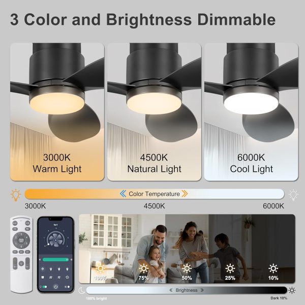 Flush Mount Ceiling Fans with Lights, Remote/App Control, Dimmable, Quiet Indoor/Outdoor Ceiling Fan for Covered Patio, Bedroom, Kitchen, Black