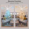 Large Ceiling Fan with Lights - Indoor/Outdoor Fan Remote & APP Control, Dimmable, DC Motor, Metal Ceiling Fan for Patio Living Room, White